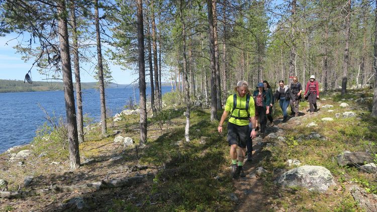 Das Foto zeigt eine Gruppe von Exkursionsteilnehmenden, die auf einem bewaldeten Weg an einem Gewässer entlang geht.